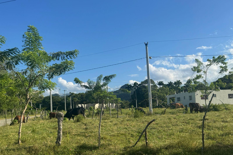 Puerto Plata: El Gallo Ecolodge Day Pass with Lunch