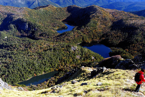 Huerquehue Nationaal Park hele dag