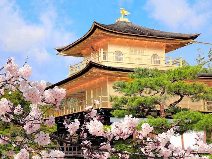 Kyoto: Top Highlights Full Day Tour