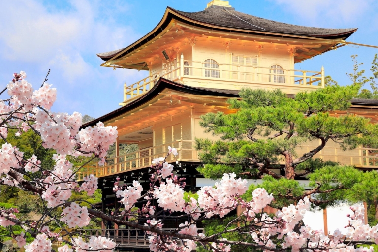 Vanuit Kyoto: Dagtocht met gids naar Kyoto en Nara met lunchTour met Beef Shabu Shabu Lunchschema 2024