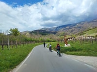 Valdobbiadene Hills, e-bike tour met eten en wijnproeverij - Housity