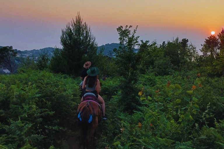 Sorrento: 3-godzinna przejażdżka konna po półwyspie Sorrento