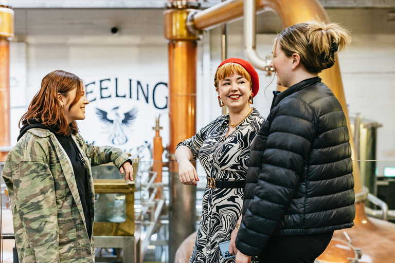 Dublin : Visite et dégustation de la distillerie TeelingVisite de la distillerie Teeling et dégustation de Teeling