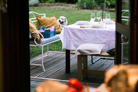 Pisa: Private Show Cooking and Social Dining Experience Group Show Cooking and Social Dining Experience