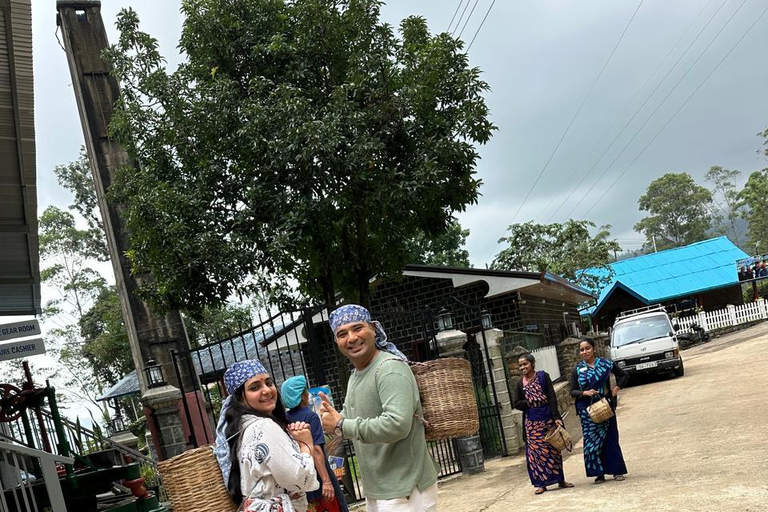 CMB/Negombo: Sigiriya, Kandy & Ella Private Tour with Driver Private Van with Driver – Up to 50 km