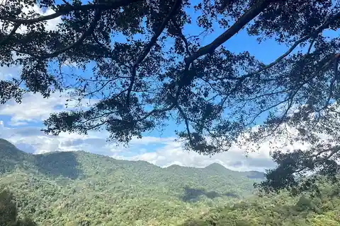 CNX: Trekking & Villager living in forest, tea& coffee farm