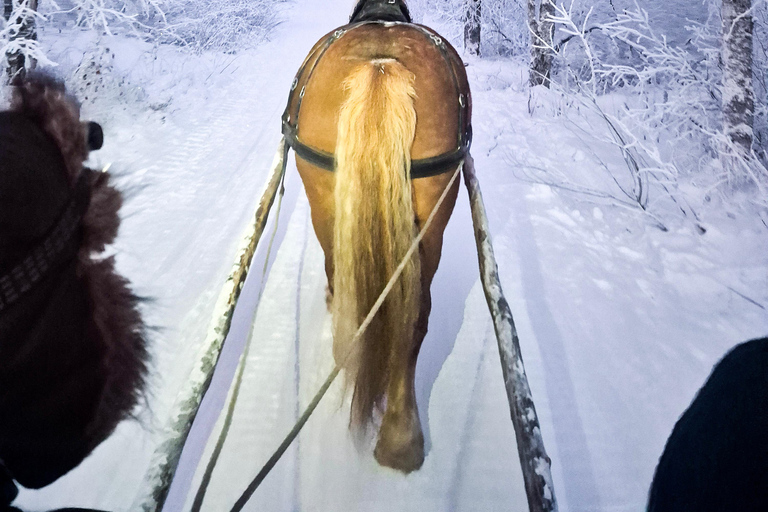 Rovaniemi: Traditional Finnhorse Sleigh Ride and Lunch