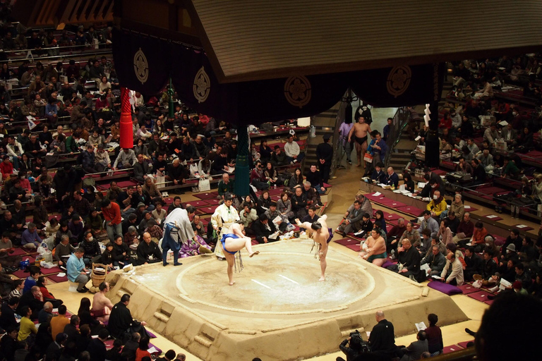 Grand Sumo Tournament w/ a Licenced Guide Jan. 2026 Seat B