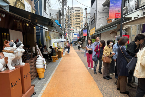 Tradycyjne stare miasto w Tokio - Yanaka, Nezu i Ueno SakuragiTokio : Stare tradycyjne miasto~Yanaka,Nezu&amp;Ueno Sakuragi