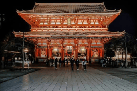 Tokyo: Tokyo Full Day Private Customizable Sightseeing Tour Tokyo Private Customized Tour