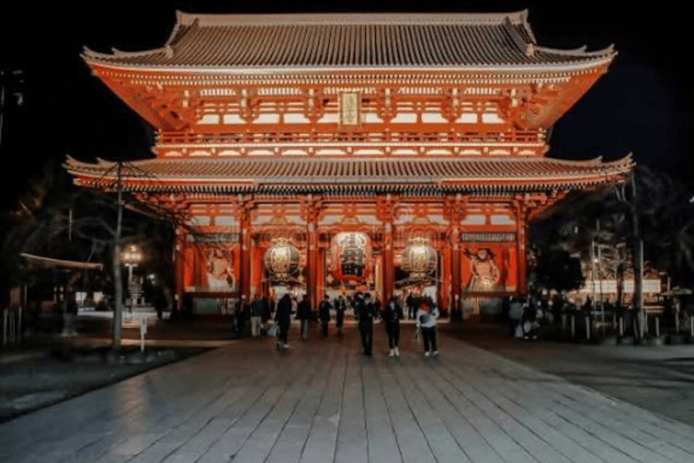 Tokyo: Tokyo Full Day Private Customizable Sightseeing Tour Tokyo Private Customized Tour