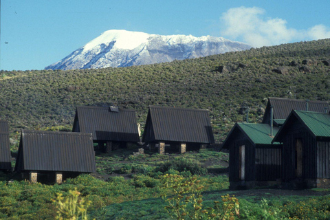 Aventure 8 jours d&#039;expédition sur le Kilimandjaro et la source d&#039;eau chaude de Chemka