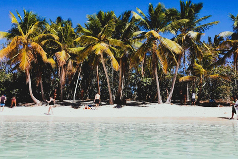 From Puerto Plata: Santo Domingo + Saona Island (2 days)