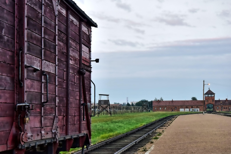 Från Krakow: Auschwitz-Birkenau-tur med transferSpecialerbjudande: Rundtur med broschyr