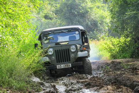 Safari dans le parc national de Yala au départ d&#039;Ella