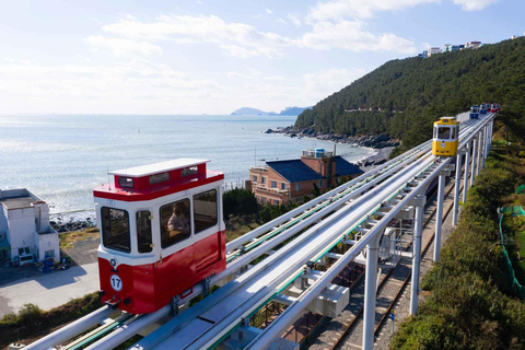 Small-Group Busan City Tour with Optional Sky Capsule Sky Capsule Excluded