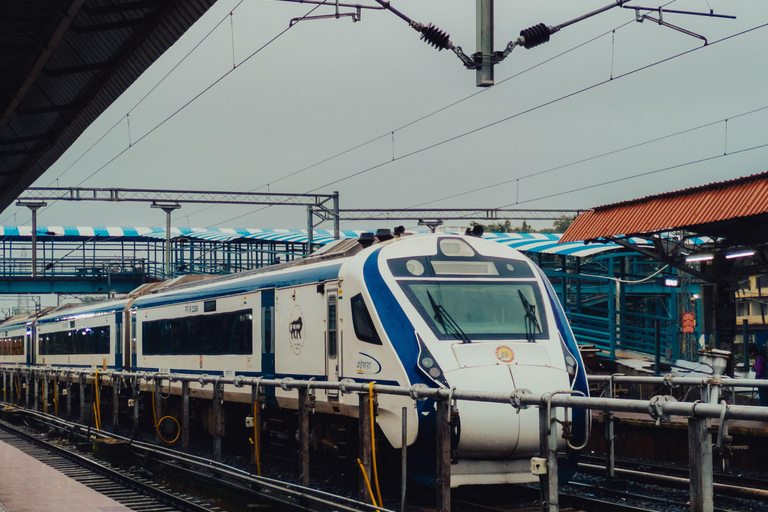 From Delhi: Taj Mahal & Agra Private Tour by Fast Train All-Inclusive Tour with 1st Class - Executive Train Coach