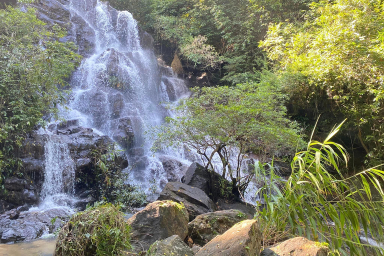 Von Hue aus: Botanischer Garten, Phong Nha Höhle und Dunkle Höhle Tour