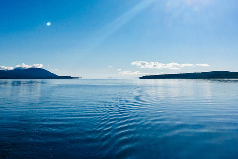 Guidad kryssning för att upptäcka Orleans Island och Quebec City