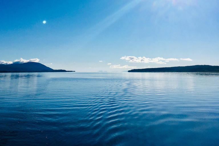 Guided cruise to discover Orleans Island and Quebec City