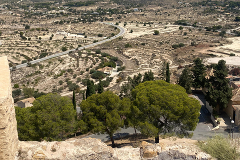 Private driving tour to Canelobre Caves & Busot & Campello