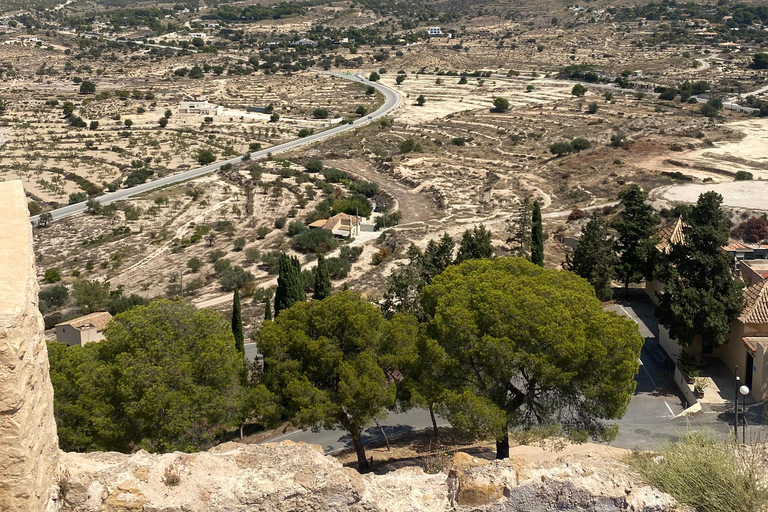 Private driving tour to Canelobre Caves & Busot & Campello