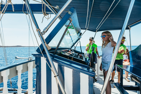 Los Cristianos: cruise zonder jacht op walvissen en dolfijnen