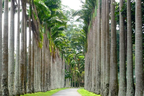 The Best of Kandy by Tuk-Tuk