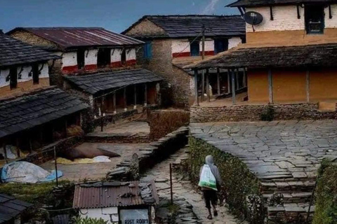 Pokhara : Trek de 3 jours à Astam, Dhampus et Australian CampPokhara : 3 jours de service