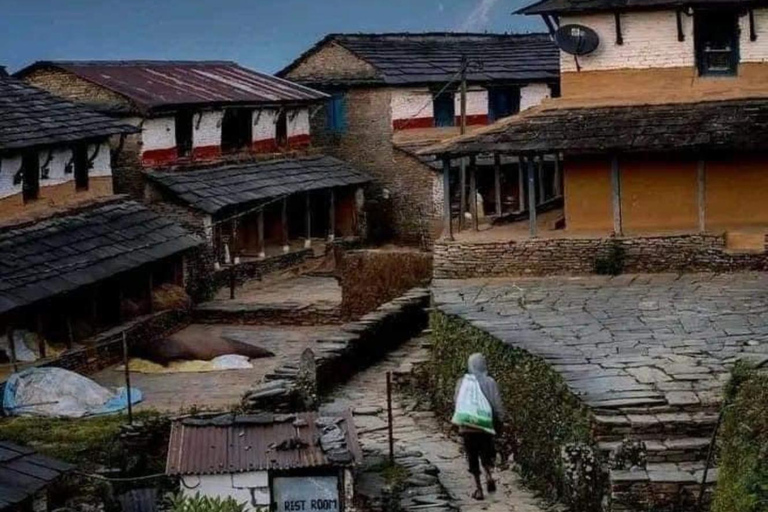 Pokhara : Trek de 3 jours à Astam, Dhampus et Australian CampPokhara : 3 jours de service