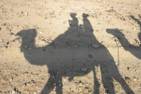 Flamingo's River Camel Ride with Tea