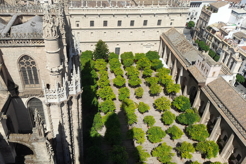 Seville: Entrance and guided tour of the Cathedral Seville: Entrance fee and guided tour Cathedral