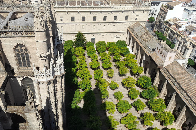 Seville: Entrance and guided tour of the Cathedral Seville: Entrance fee and guided tour Cathedral