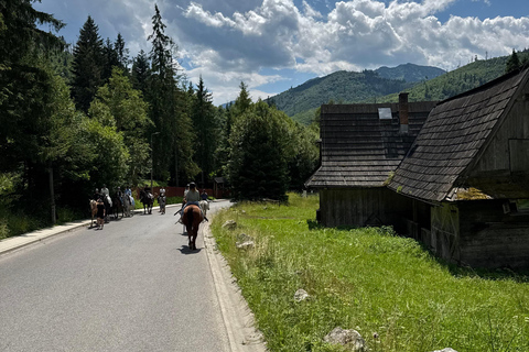 Kraków: Zakopane Horse ride & Thermal Baths Day Trip