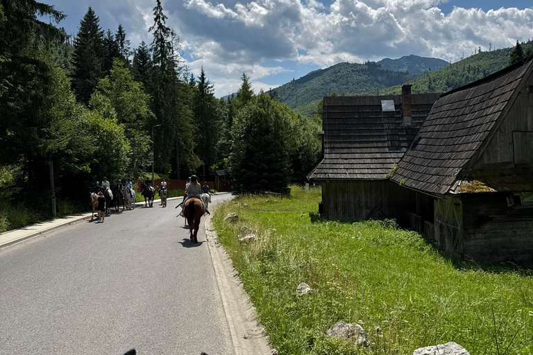 Kraków: Zakopane Horse ride & Thermal Baths Day Trip
