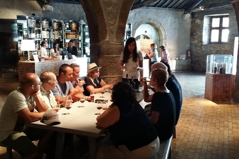 Degustacja wina w Lizbonie