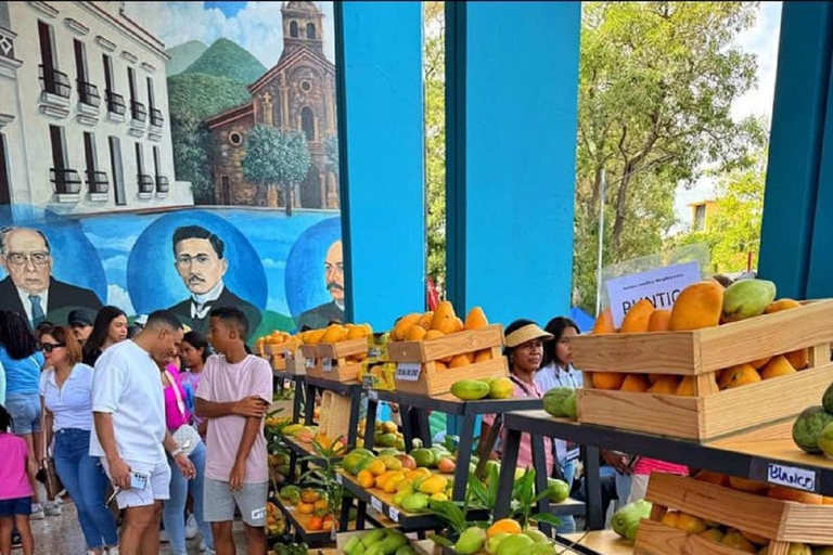 Puerto Plata: Buggy Adventure in the Countryside and Stop at the Beach