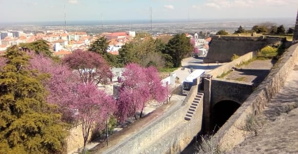 Arrábida Tour with Beautiful Landscapes and Wine Tasting