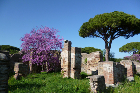Rzym: Ostia Antica Tour z Rzymu