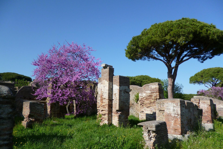 Rzym: Ostia Antica Tour z Rzymu