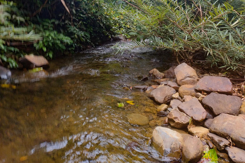 Langkawi Jungle Trekking &amp; Live Cooking Adventure