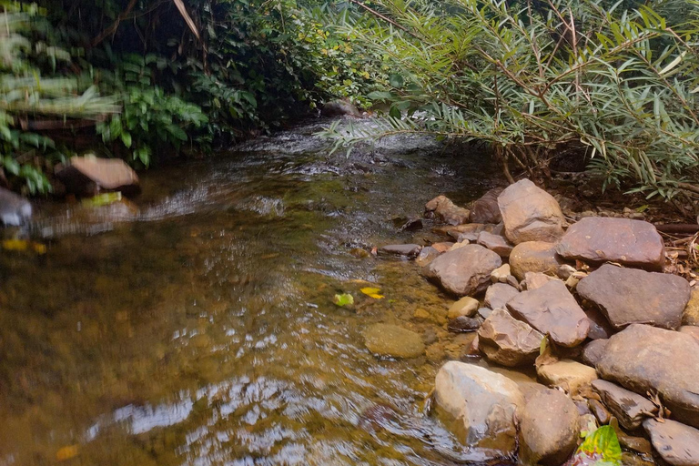 Langkawi Jungle Trekking &amp; Live Cooking Adventure