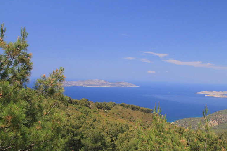 Rhodes: Safari with experienced driver - South pick ups