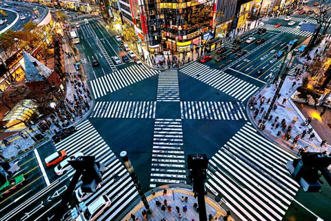 Tokyo: City One Day Private Tour of Must-See Places