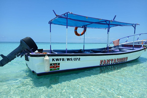 Diani Beach: Wasini Island Dolphin Safari & Snorkeling