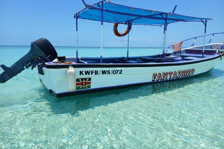 Diani Beach: Wasini Island Dolphin Safari & Snorkeling