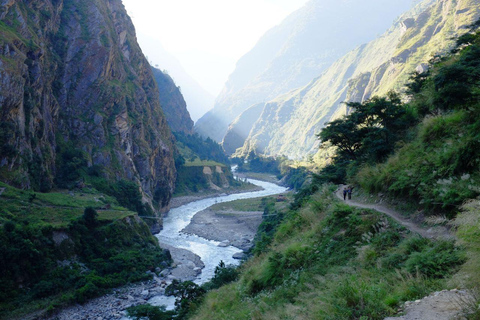From Kathmandu: 5, 6, or 7-Day Langtang Valley Guided Trek From Kathmandu: 5-Day Langtang Valley Guided Trek