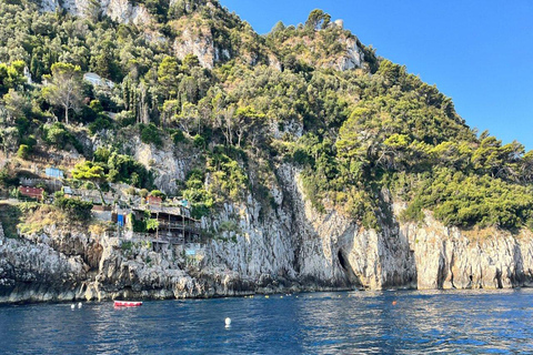 Capri & Anacapri with BlueGrotto SmallGroup Tour from Naples Small-Group Option