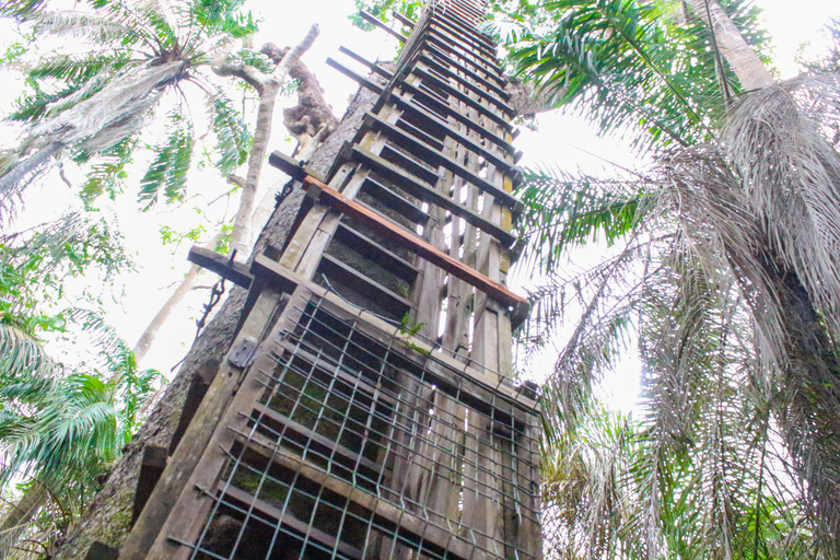 لاغوس: مركز ليكي للمحافظة على البيئة (LCC) جولة إرشادية