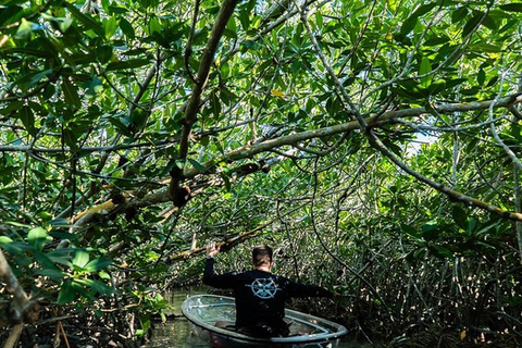 Key West Area: Guided Clear Kayak Eco-Tour
